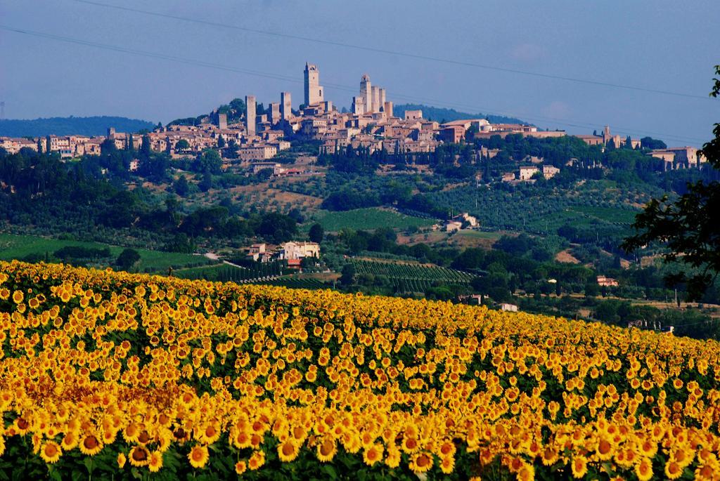 Il Palagione Villa San Gimignano Bagian luar foto