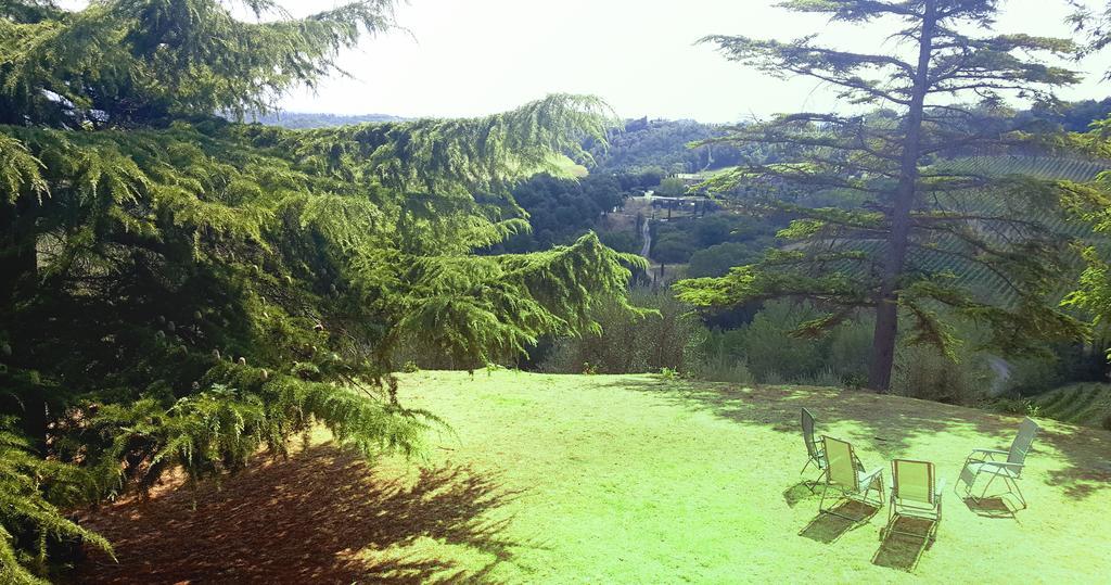Il Palagione Villa San Gimignano Bagian luar foto