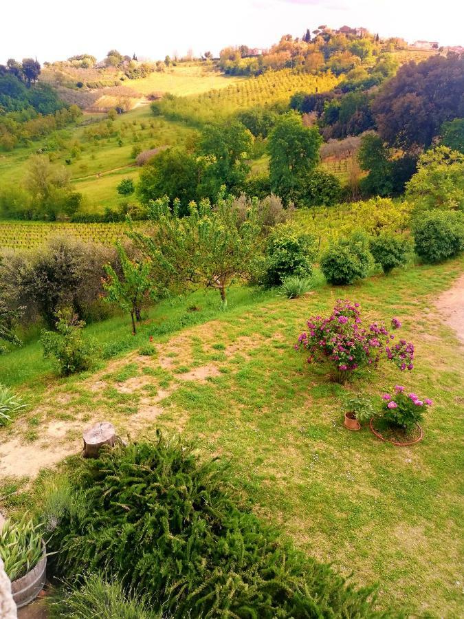 Il Palagione Villa San Gimignano Bagian luar foto
